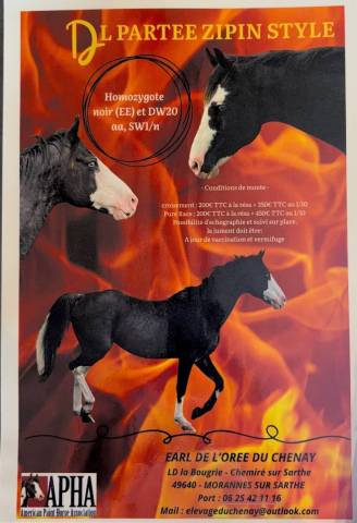 Dl Partee Zipin Style